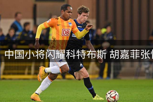 中国小将闪耀科特布斯 胡嘉菲张怡涵跻身高低杠决赛