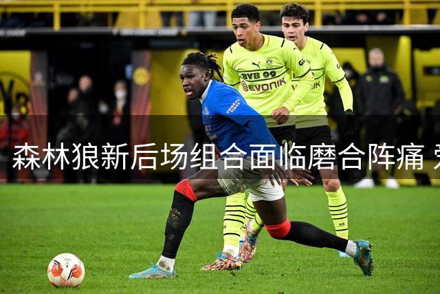 森林狼新后场组合面临磨合阵痛 爱德华兹坦言"高低都要庆祝